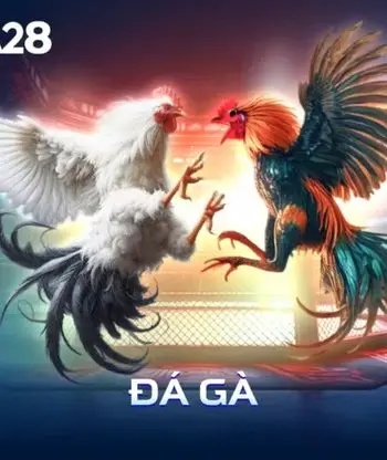 ĐÁ GÀ